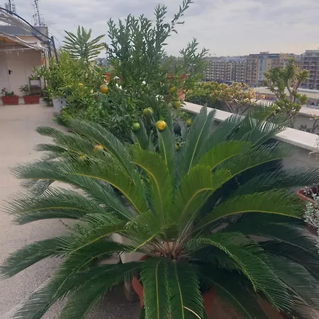 Ganaj La Terrazza Di Ganaj 3*