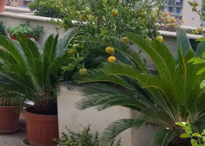 Ganaj La Terrazza Di Ganaj ベッド・アンド・ブレックファスト