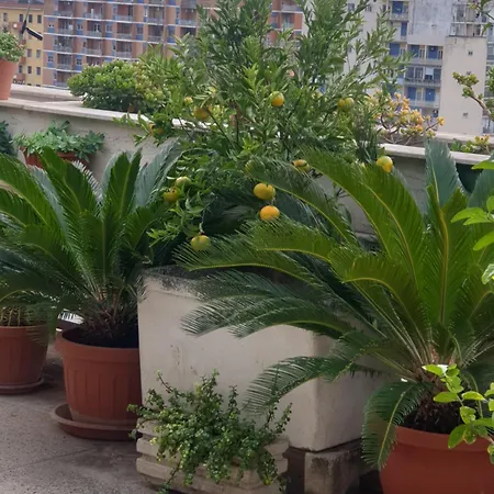 Ganaj La Terrazza Di Ganaj Frühstückspension