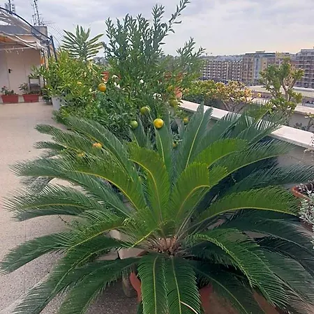 Bed & Breakfast Ganaj La Terrazza Di Ganaj 3*