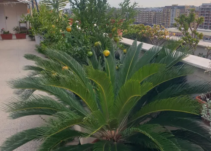 Ganaj La Terrazza Di Ganaj 3*